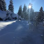 Ruah Casa vacanze Weissensee